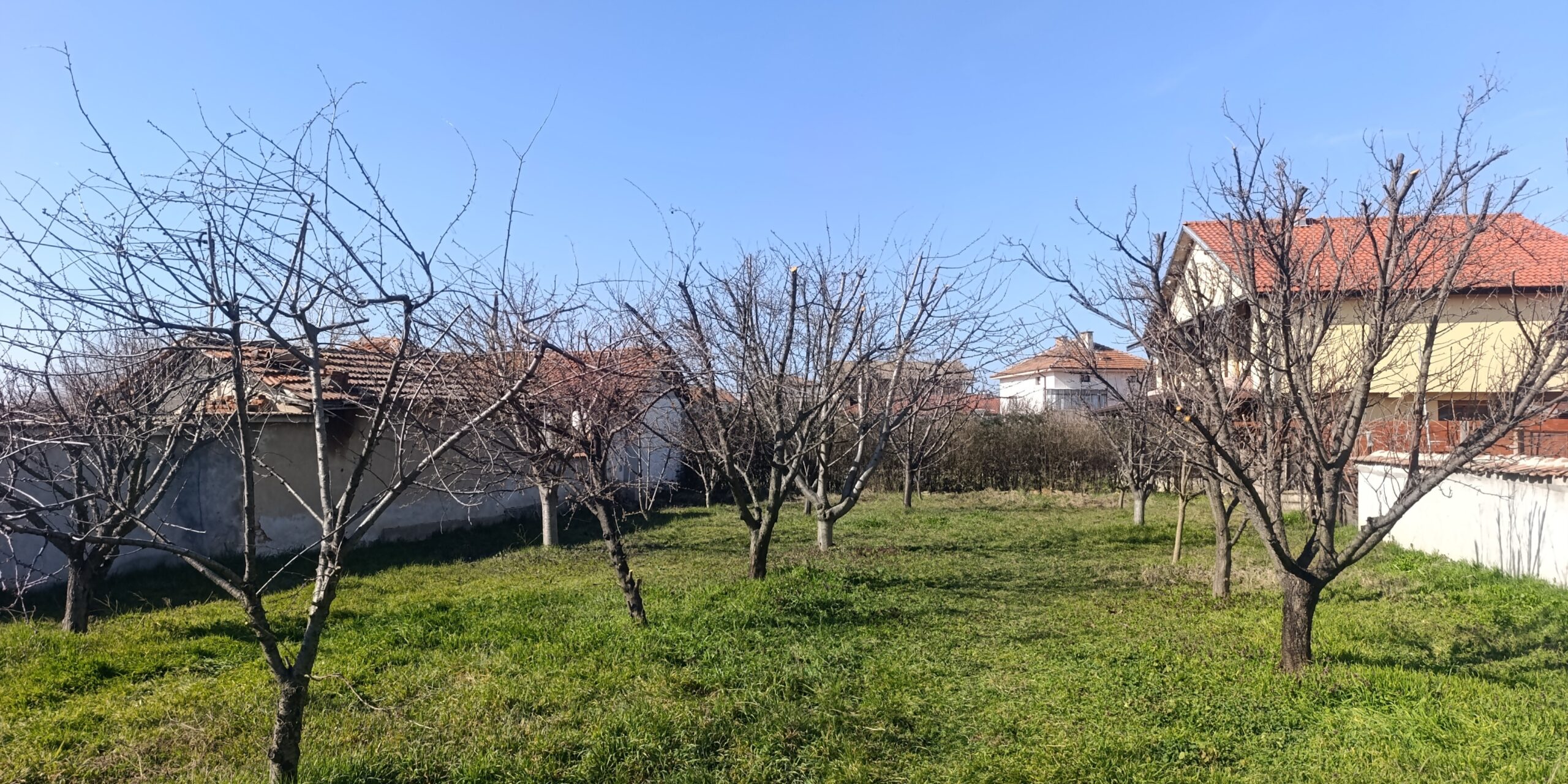 Кастрене на овошки