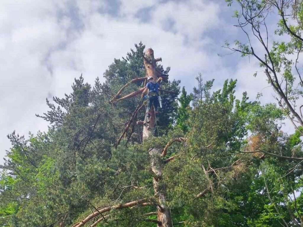 viber_изображение_2025-05-30_14-50-25-075 Премахване на връх